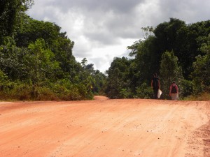 Route forestière  